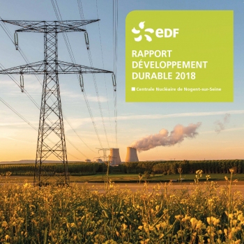 EDF - Rapport RSE